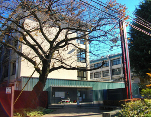 日本女子美术大学