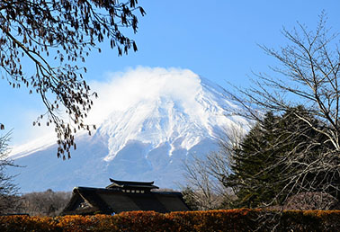 艺术大学