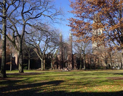 耶鲁大学