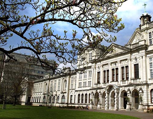 卡迪夫大学