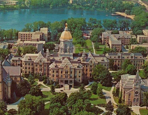 圣母大学
