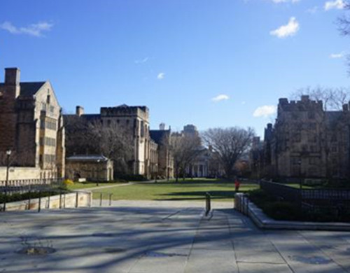 耶鲁大学