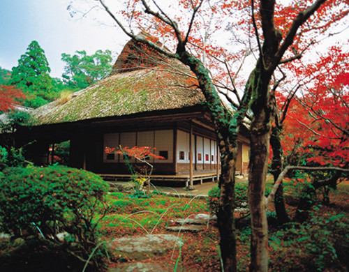 日本艺术留学