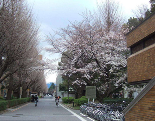 日本艺术留学