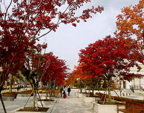 韩国艺术留学