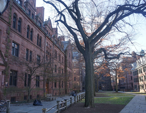 耶鲁大学