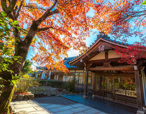 京都精华大学