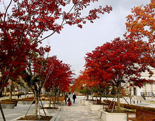 韩国艺术留学