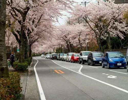 日本艺术留学