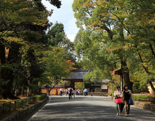 京都精华大学