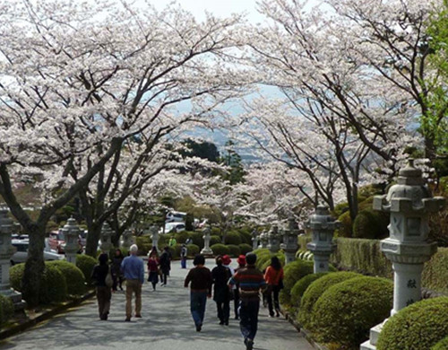 京都精华大学