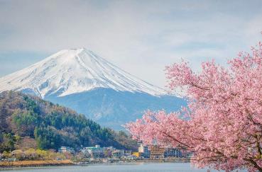 日本公立民办学费分析