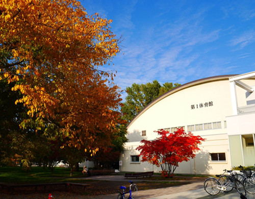 日本艺术留学